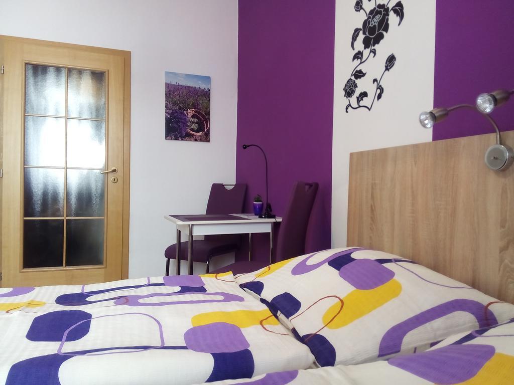 Apartmany - Penzion Smetanka Чеське Будєйовіце Номер фото